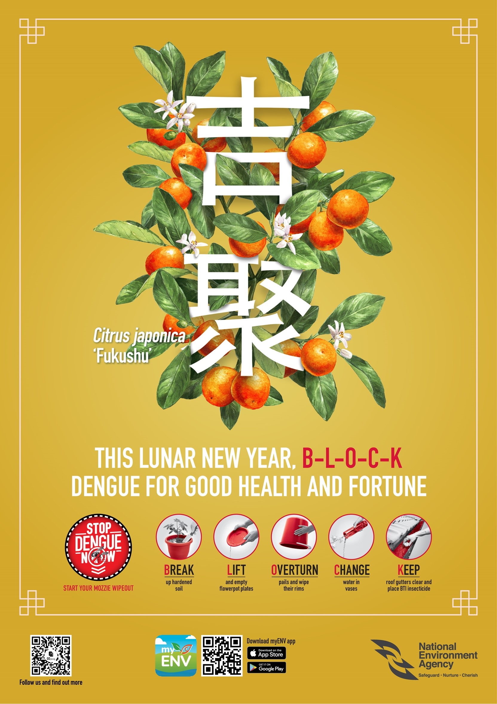 Festive Dengue Prevention Campaign’s Key Visual Festive Dengue Prevention Campaign’s Key Visual