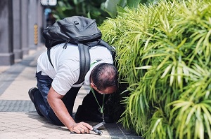 Checking a drain for mosquito breeding - 1