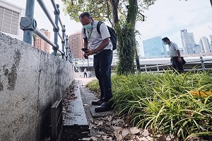 Checking a drain for mosquito breeding - 3
