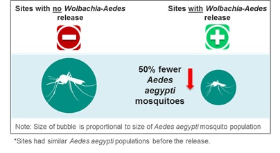Fig 1- Ph 1 - Impact of male Wolbachia-Aedes Impact of male Wolbachia-Aedes