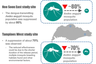 Fig 2 - Ph 2 - Impact of male Wolbachia-Aedes on urban Aedes aegypti Impact of male Wolbachia-Aedes on urban Aedes aegypt