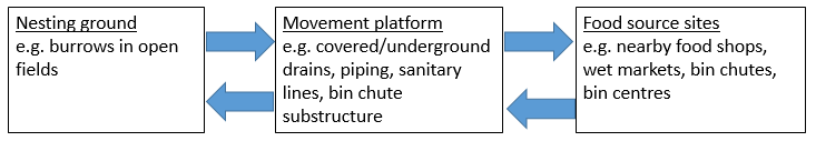 Figure 1: A hypothetical closed loop of a rat's path to and fro nesting ground and food sources over the tracking period