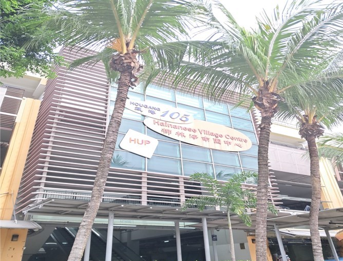 Blk 105 Hougang Ave 1, Singapore