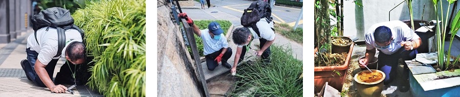 Conducting Inspections for Mosquito Breeding