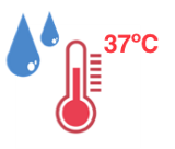 Thermal cues_temperature and moisture